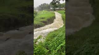 abrir as comportas da barragem Usina Coruripe Alagoas para esvaziar a barragem