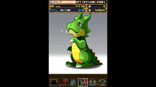 パズドラ友情ガチャ　レア進化用モンスター出現率　検証