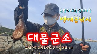 울산 평동갯바위 낚시 (대물군소,벵에돔낚시)