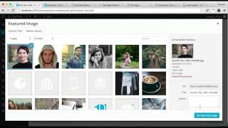 Free WordPress Theme One Paze - How to Configure Team and Contact Section | WordPress Tutorial