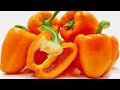 5 Amazing Health Benefits Of Orange Peppers