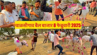 चाळीसगाव बैल बाजार live 🔴 8 फेब्रुवारी 2025 || भुरा शेठ, छोटू शेठ यांच्या लाईव्ह सौदेबाजी 👑