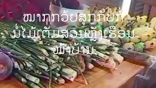 ຕອນທີ່ສອງຂອງການຕັດຫຍ້າສວນ(EP2)