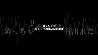 【#shorts】狐の鳴き声めっちゃ綺麗に録音出来た【フリー素材】