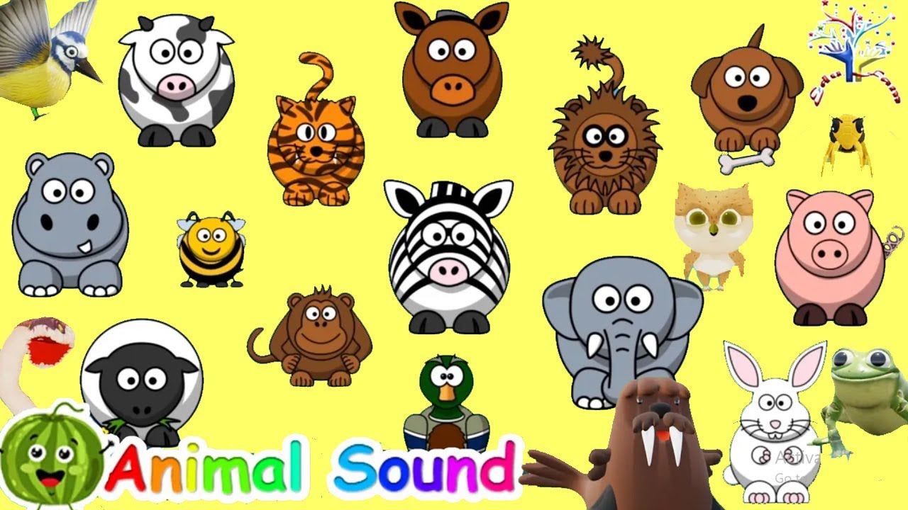 The Animal Sounds Song Kids Tv 123 Song Lyrics Music Videos Concerts