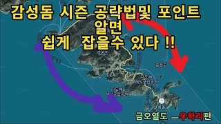 갯바위 (감성돔 공략법 알면 쉽게 잡는다)낚시의 채비법및  포인트 설명_