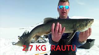 Rautupilkillä Ruotsin lapissa 2019, ice fishing trip to Swedish Lapland.