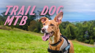 A Man´s Best Friend | Traildog MTB w/ Bernardo Teixeira