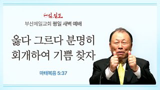 2024년 10월 31일 목요일 새벽