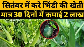 सितंबर महीने में कैंसे करें भिन्डी की जैविक खेती | bhindi se 60 din me lakhon rupay kamayen