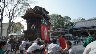 平成29年4月16日　半田山車祭り 成岩3・4区　成岩神社下降(成車・神車・旭車・南車)