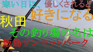 153【釣り】秋田県　釣り　秋田市　飯島サンセットパーク　アジ　キス　ヒイラギ　ハゼ　　2024年6月15日　朝　晴れ