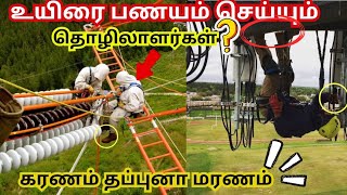 உலகில் மிகவும் ஆபத்தான வேலைகள் ⁉️|Most dangerous jobs in the World | #dangerousjobs