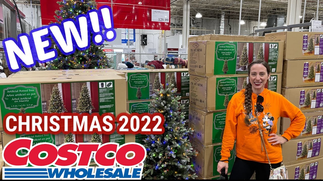 *NEW* WHAT'S NEW AT COSTCO NOVEMBER 2022 | CHRISTMAS At Costco | Costco ...