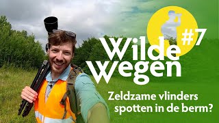 Zeldzame vlinders spotten in de berm? | Wilde Wegen #7