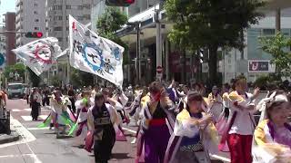 @２０２３年６月４日@湘南よさこい祭り２０２３@TeamI ZUMO（ちーむ　いずも）＠ストリート演舞@13:02