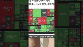 1월 27일 미국 시장 분석 : DEEPSEEK가 시장을 DIP SICK했다