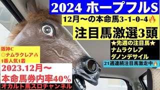 【2024.ホープフルS】今回注目したい枠とは⁉︎12月〜の本命馬3-1-0-4🔥激選注目馬3頭‼︎