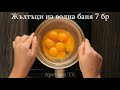 Най вкусният и най лесен за приготвяне Тортата с ядки apetiten tv