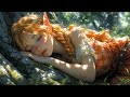 Peaceful Enchanted Forest - Celtic Music, Fantasy Bard/Medieval Music, Relaxing Fantasy Ambience