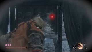 【SEKIRO：隻狼】籠を覗き込む白蛇をいつまでも忍殺しないでいるとどうなるか試してみた