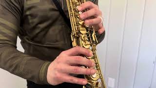 Selmer Mark VI Soprano Saxophone Demo, www.dcsax.com