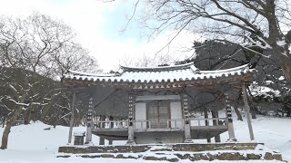 눈 덮힌 명옥헌원림 드론영상 Drone video of Myeongokheon Garden covered in snow