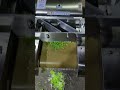 cabbage shredder