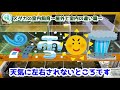 メダカの室内飼育～屋外だと上手くいくのに室内だと上手くいかない時にありがちなこと～【媛めだか】