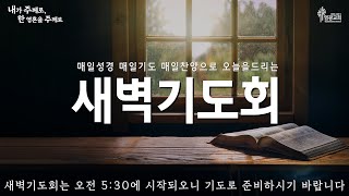 2025년 2월 14일 염광교회 새벽기도회 / 천대웅 목사 / 누가복음 3:1~14