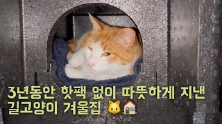 3년째 핫팩 없이 지내는 길고양이 겨울집/ 마당냥이 돌보기