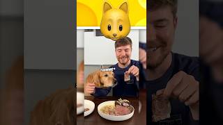 Feeding A Dog $1 Vs $10,000 Steak?!