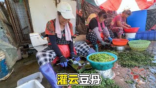 江苏最有名的黑暗料理豆丹，外地人都不敢看，最贵时一份卖12000