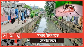 মশার উৎপাতে অতিষ্ট নগরবাসী! | Mosquito | News Update in Bangladesh | Somoy TV