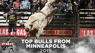 Top Bulls 🐂 of Minneapolis | 2019