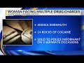 Police: Somerset County woman charged after selling cocaine to informant