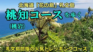 「花の島」礼文島、屈指の人気トレッキングコースを歩く