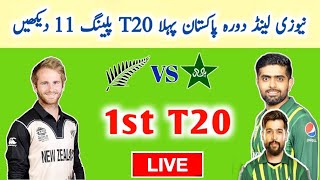 Pakistan 1st T20 Playing 11 vs New Zealand 2024 | Pak vs Nz 1st T20 Match | New Captain Babar Azam