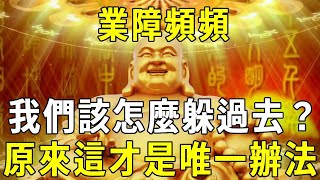 業障頓起，惡報頻發，我們究竟如何躲過去？高僧：這才是唯一辦法【曉書說】