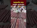 గుజరాత్​లో 5 టన్నుల ఎర్రచందనం స్వాధీనం ap red sandalwood smuggling ntv