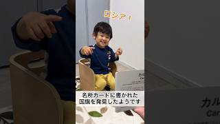 とある名所のカードに大好きな国旗を発見した2歳0ヶ月 #shorts #2歳児