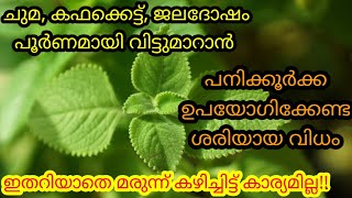 💯പനിക്കൂർക്ക ഉപയോഗിക്കേണ്ട ശരിയായ വിധം | best home remedy for children| cold | cough| fever