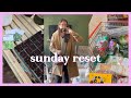 Cozy sunday reset: meal planning, gardening, and a relaxing day in brooklyn