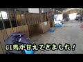 甘えてくるg1馬が可愛すぎた件について【ツルマルボーイ様のシモベ】