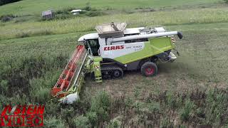 Acker Bohnen Ernte mit dem CLAAS LEXION 600 Terra Trac Mähdrescher