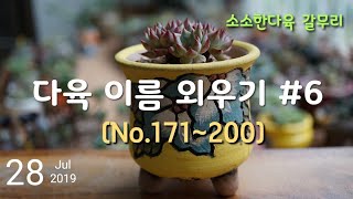 다육식물 이름 학습 30종 (No.171~200)/Succulent plant name