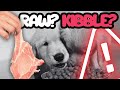 Dry KIBBLE vs RAW Dog Food (Pros and Cons) 4K