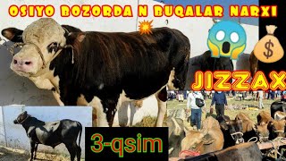 23 август Jizzax OSIYO bozori XO'KIZLAR 🐃🐂 narxi