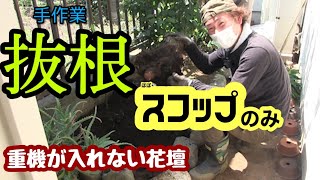 手作業で執念の抜根！息が切れても掘りまくり！【花壇のお手入れ】【便利屋仕事】