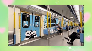 (熊貓駕到) 港鐵南港島綫: S-Train (A505/A506)金鐘至海怡半島來回行車片段